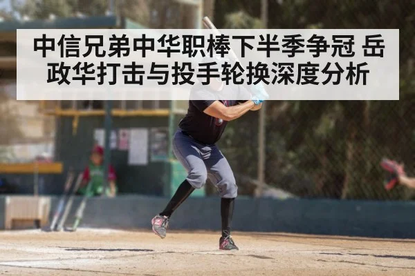 中信兄弟中华职棒下半季争冠 岳政华打击与投手轮换深度分析